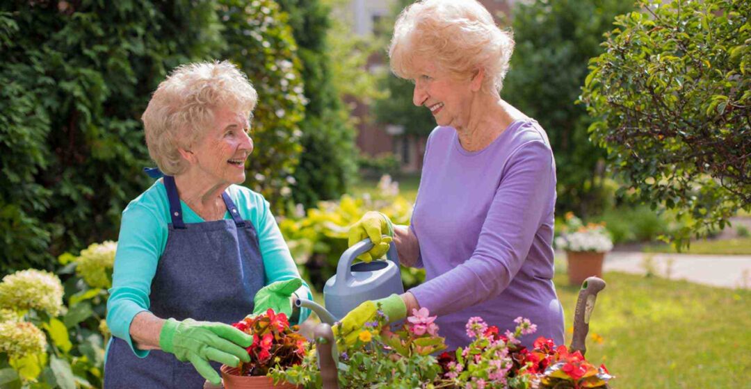 Hero gardening